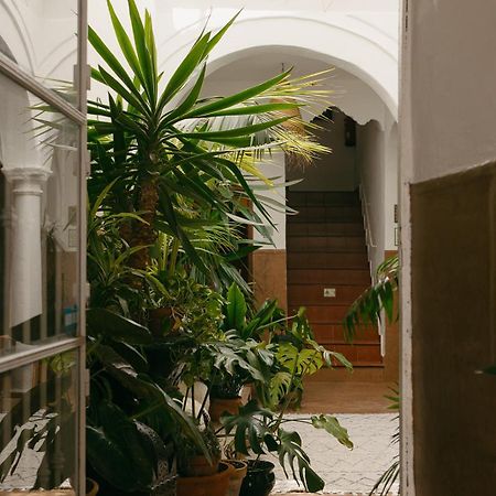 Hostal Africa طريفة المظهر الخارجي الصورة