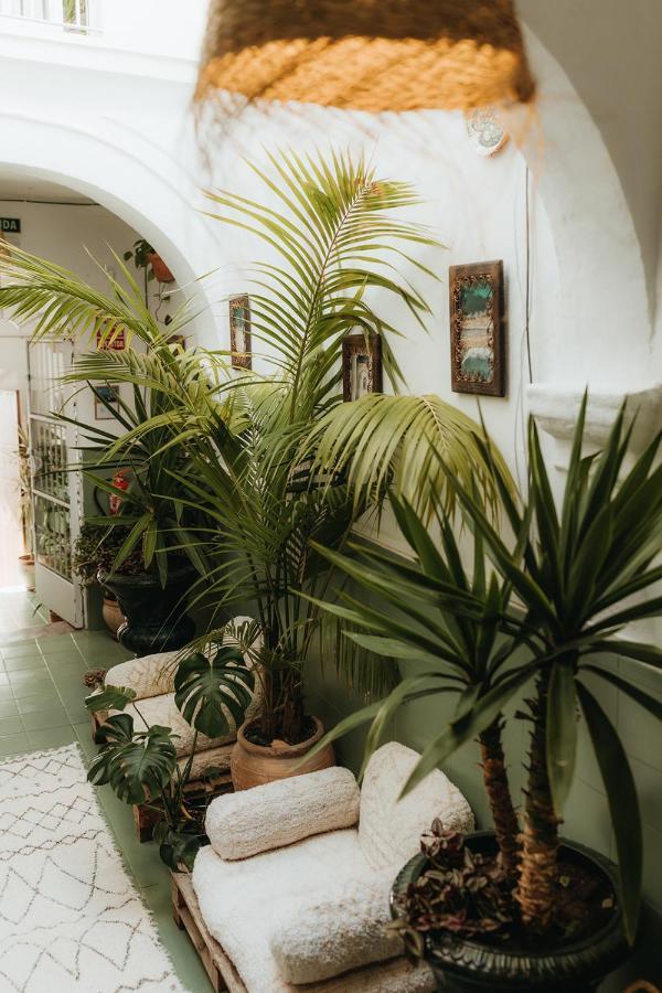 Hostal Africa طريفة المظهر الخارجي الصورة