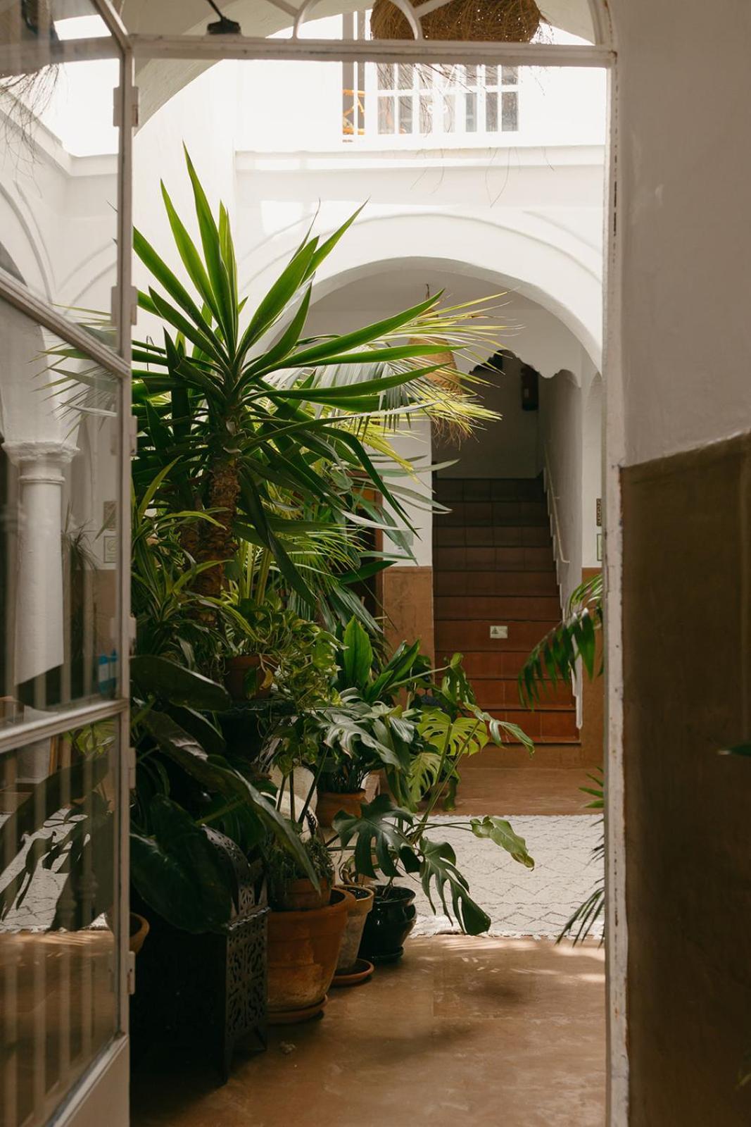 Hostal Africa طريفة المظهر الخارجي الصورة