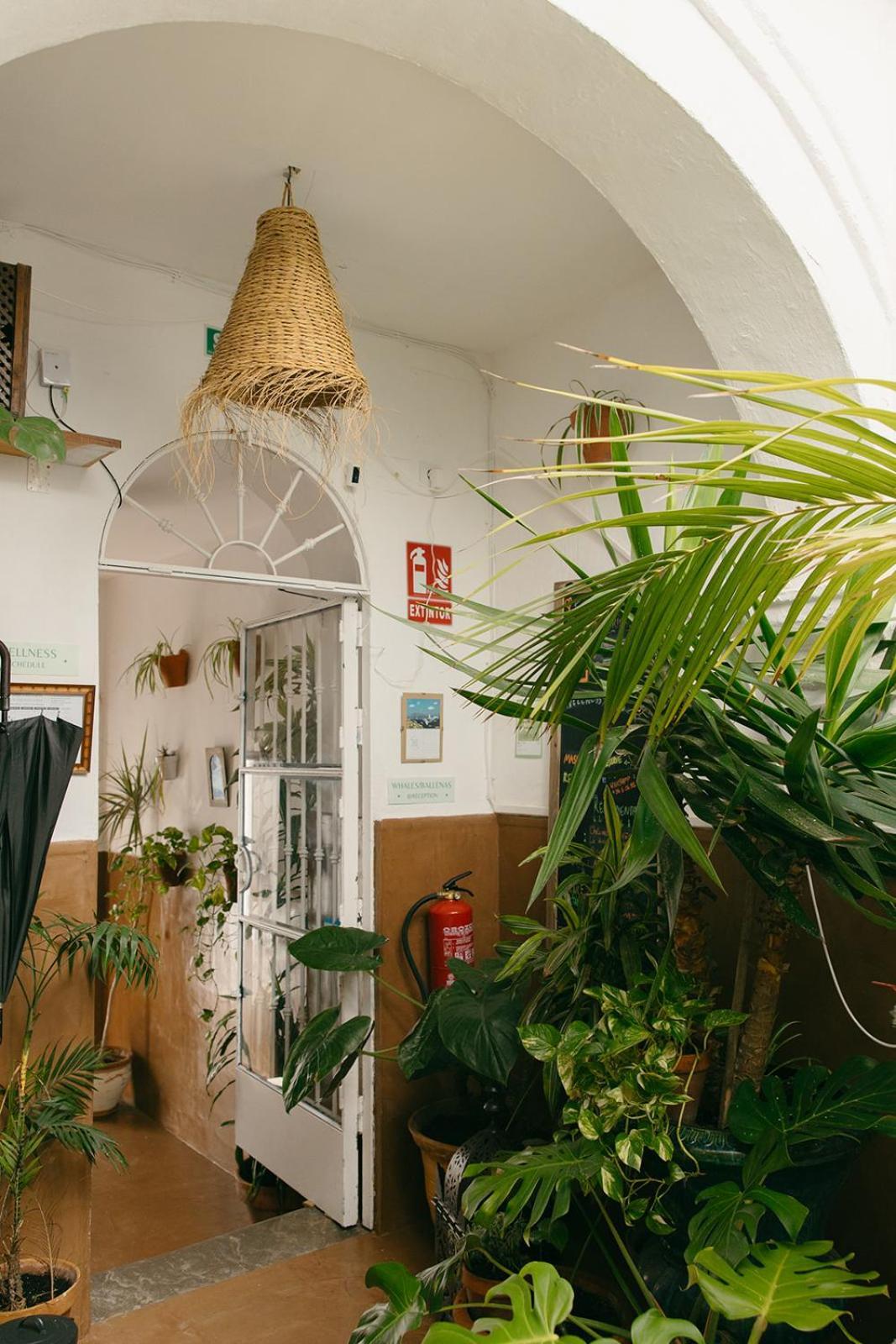 Hostal Africa طريفة المظهر الخارجي الصورة